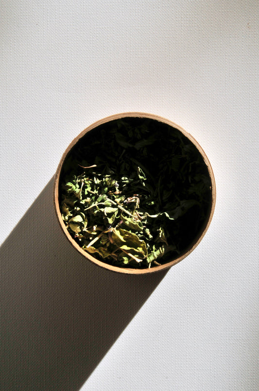 KRÄUTER DER PROVINZ