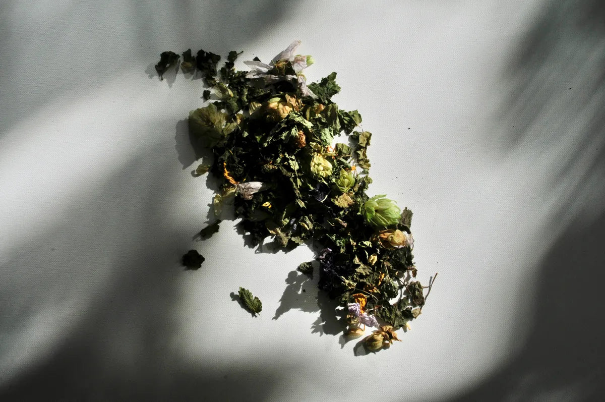 OUUMMM Abendtee - Entspannender Kräutertee mit Hopfen und Lavendel